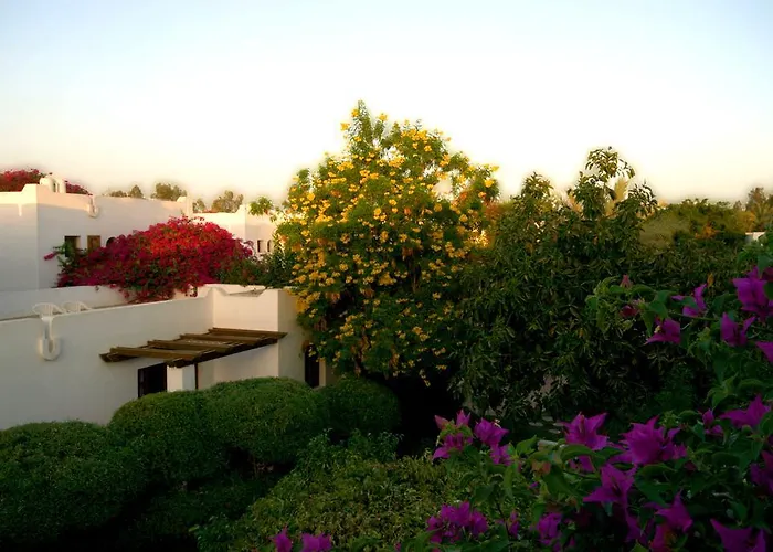 Resort Mexicana