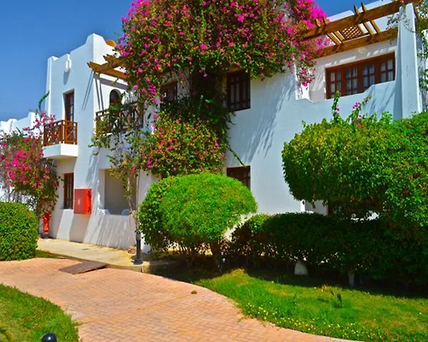 Mexicana 4*