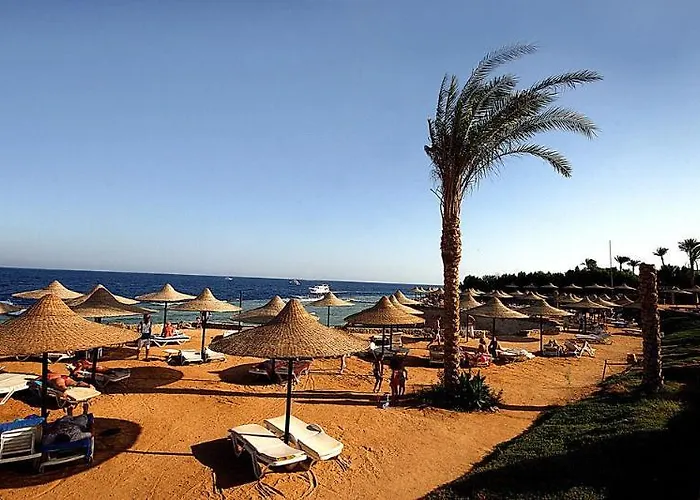 Mexicana 4*